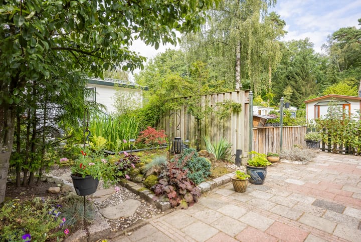 Photo 11 of Wittebergweg 16-C16