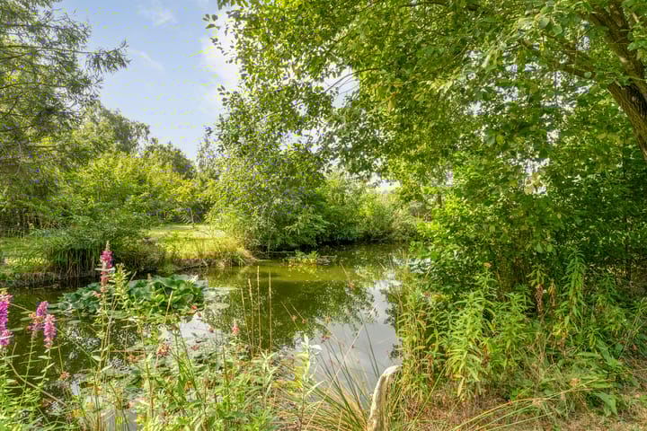 Photo 43 of Witteveen 1