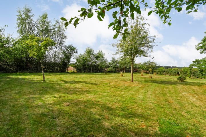 Photo 44 of Witteveen 1