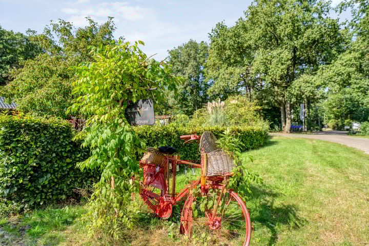 Photo 45 of Witteveen 1