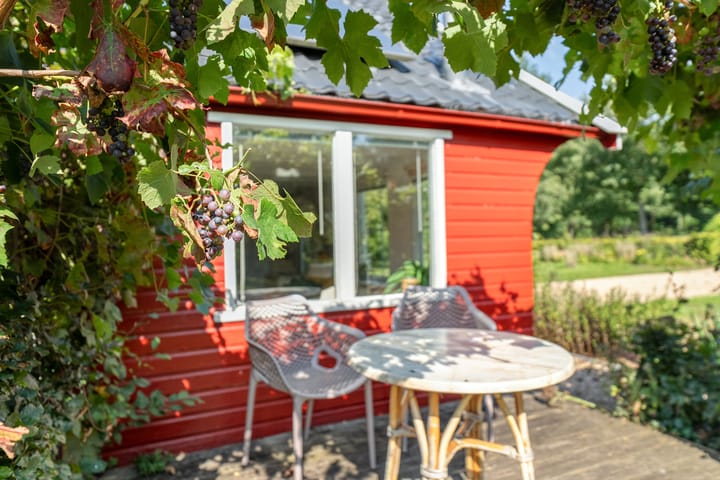 Photo 57 of Witteveen 1