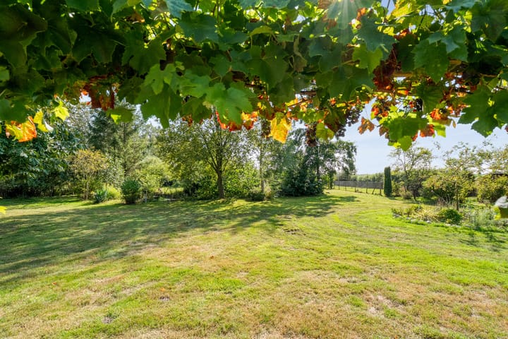 Photo 75 of Witteveen 1