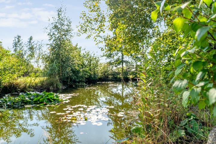 Photo 76 of Witteveen 1