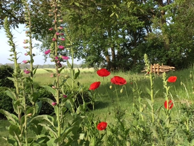 Photo 78 of Witteveen 1