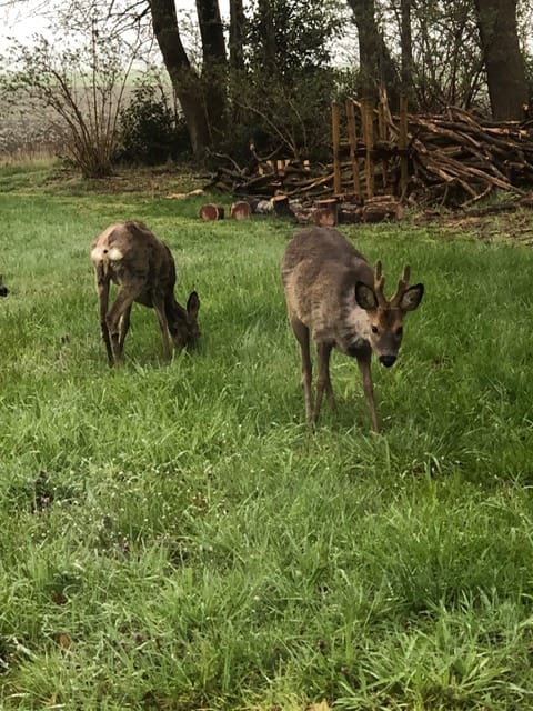 Photo 79 of Witteveen 1