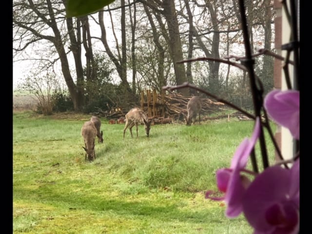 Photo 80 of Witteveen 1