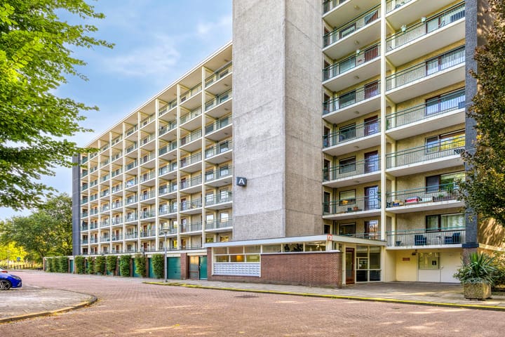 Foto 1 van Amerbos 392