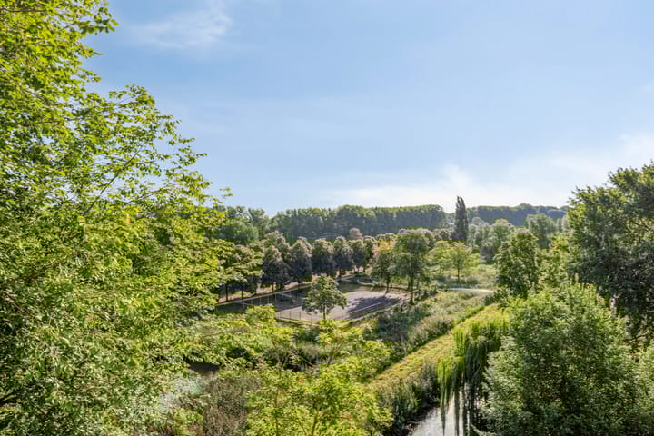 Foto 21 van Amerbos 392