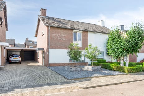 undefined main image