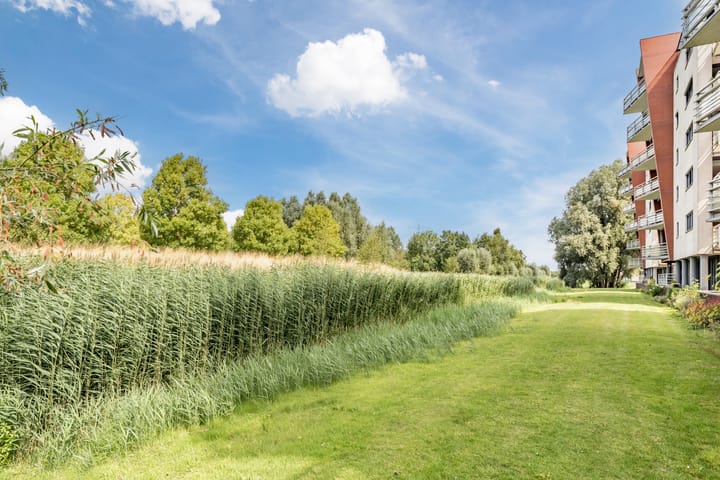 Photo 43 of Linnaeushof 47