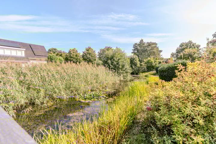 Foto 48 van Roggeakker 4