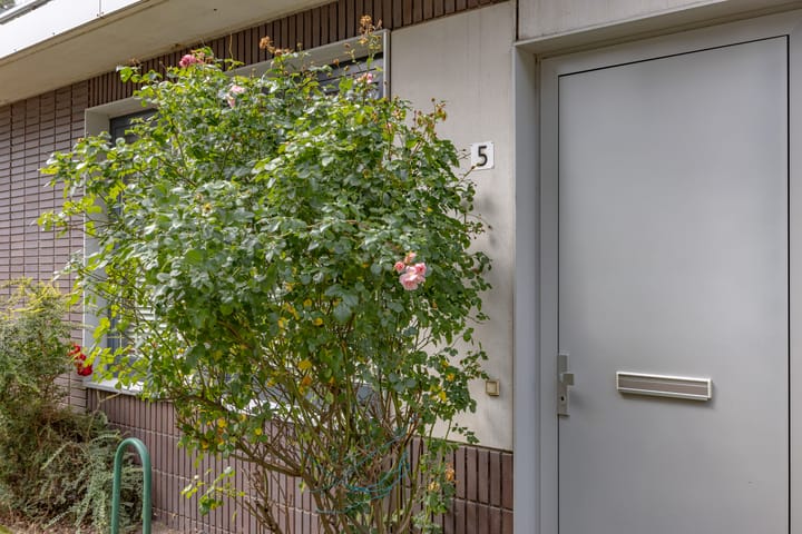 Foto 3 van Bontwerkersgaarde 5