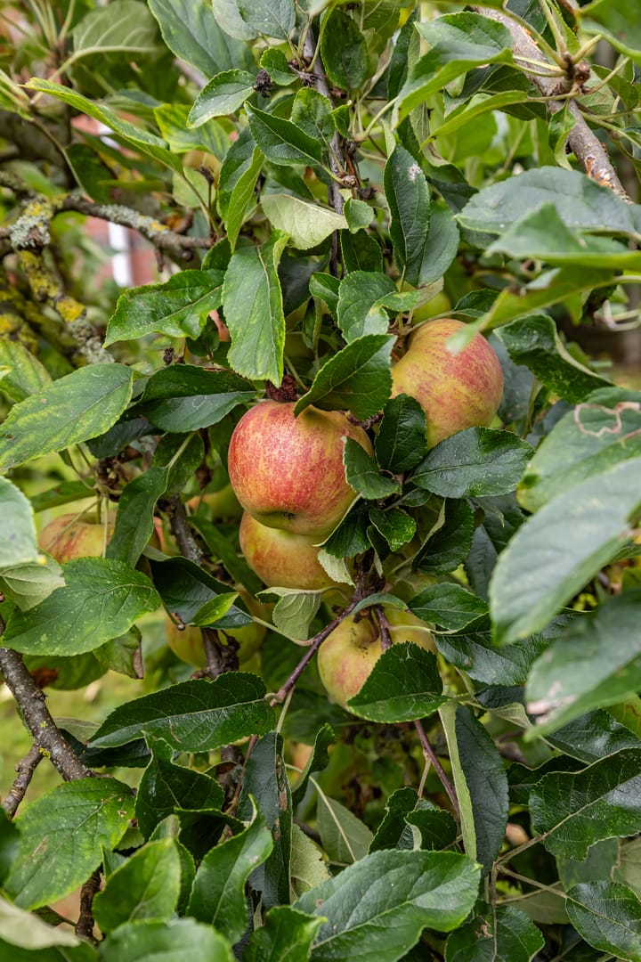 Photo 48 of M.H. Trompstraat 19