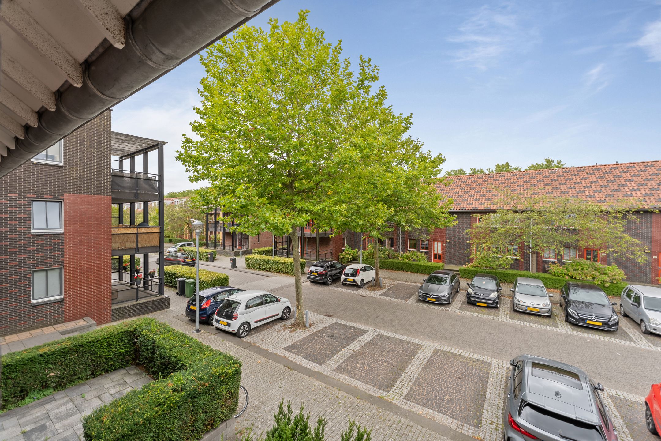 Foto 24 van Siciliano 22