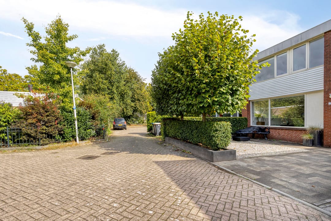 Foto 7 van Kolkrijst 154