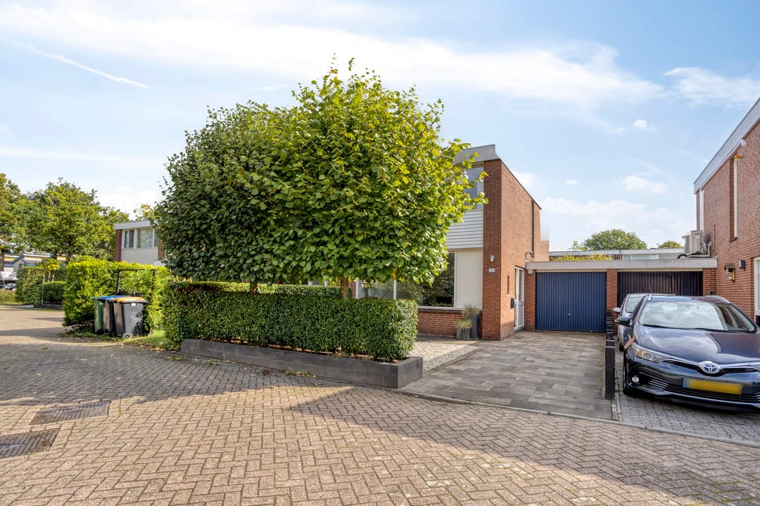 Foto 8 van Kolkrijst 154