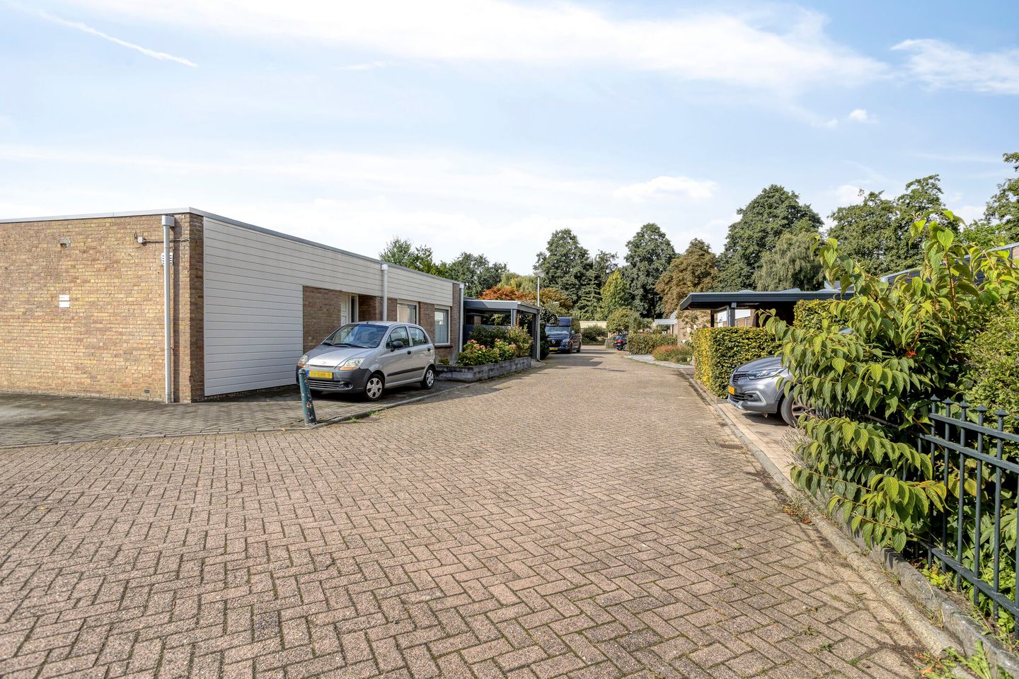 Foto 10 van Kolkrijst 154