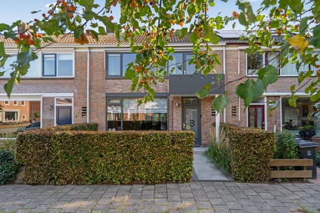 Meerenburgerhorn 3 tertiary image