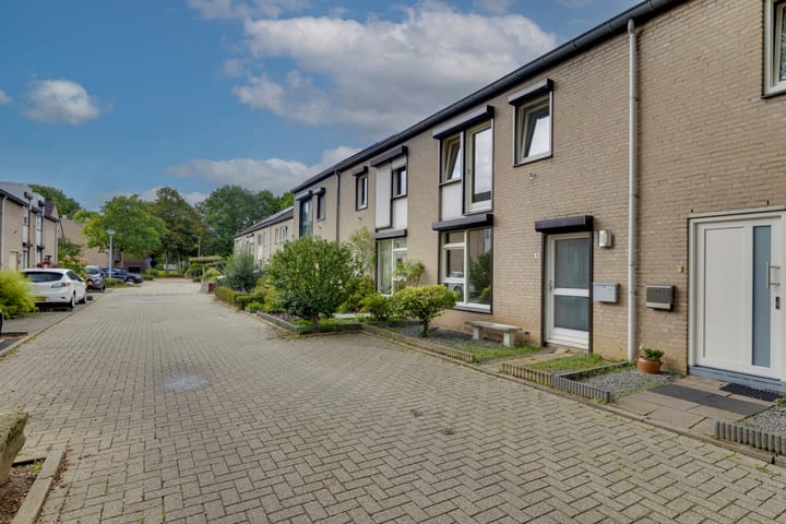 Foto 2 van Wikkeweerd 8