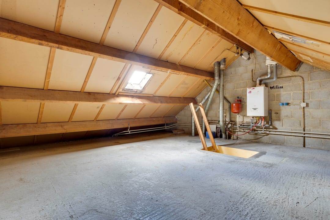 Foto 23 van Wikkeweerd 8