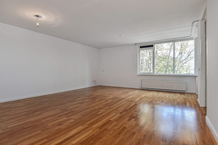 Foto 8 van Litouwen 30