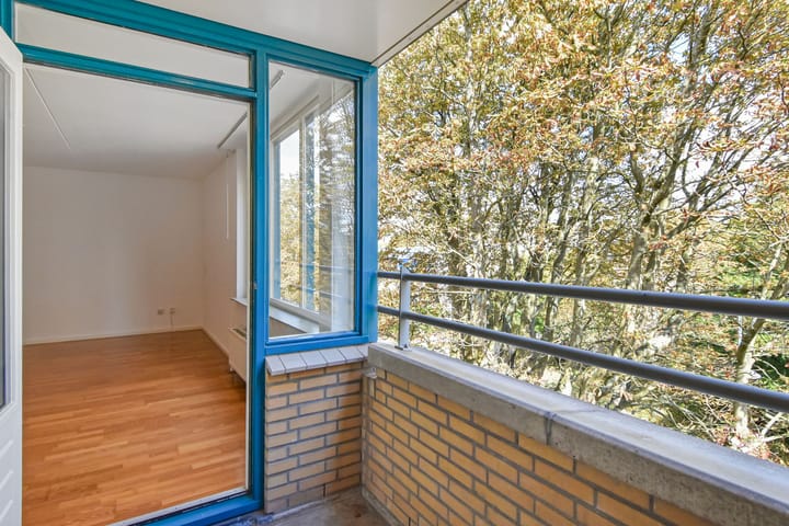 Foto 12 van Litouwen 30