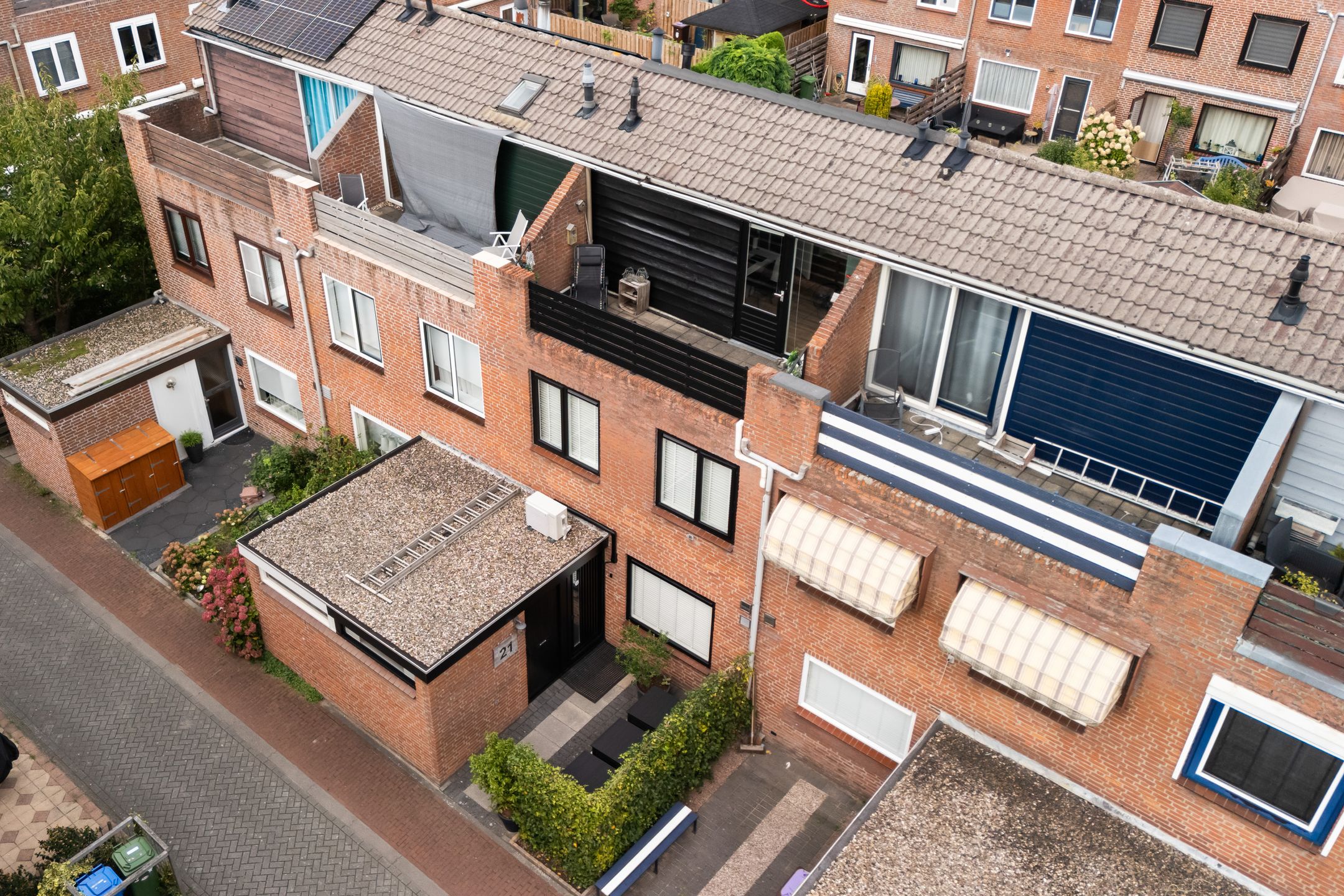 Foto 6 van Koraalzwam 21