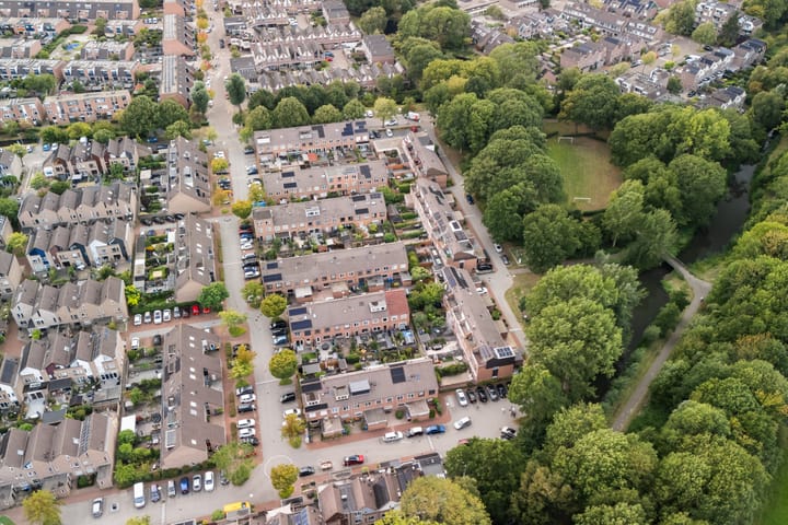 Foto 4 van Koraalzwam 21