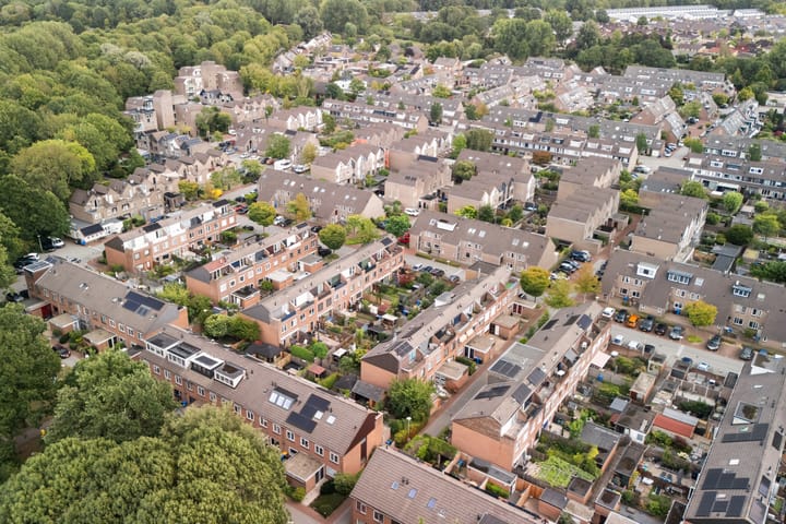 Foto 5 van Koraalzwam 21