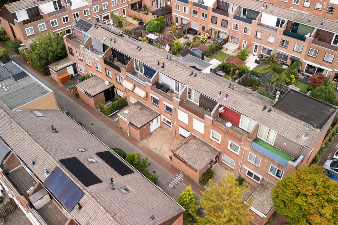 Foto 7 van Koraalzwam 21