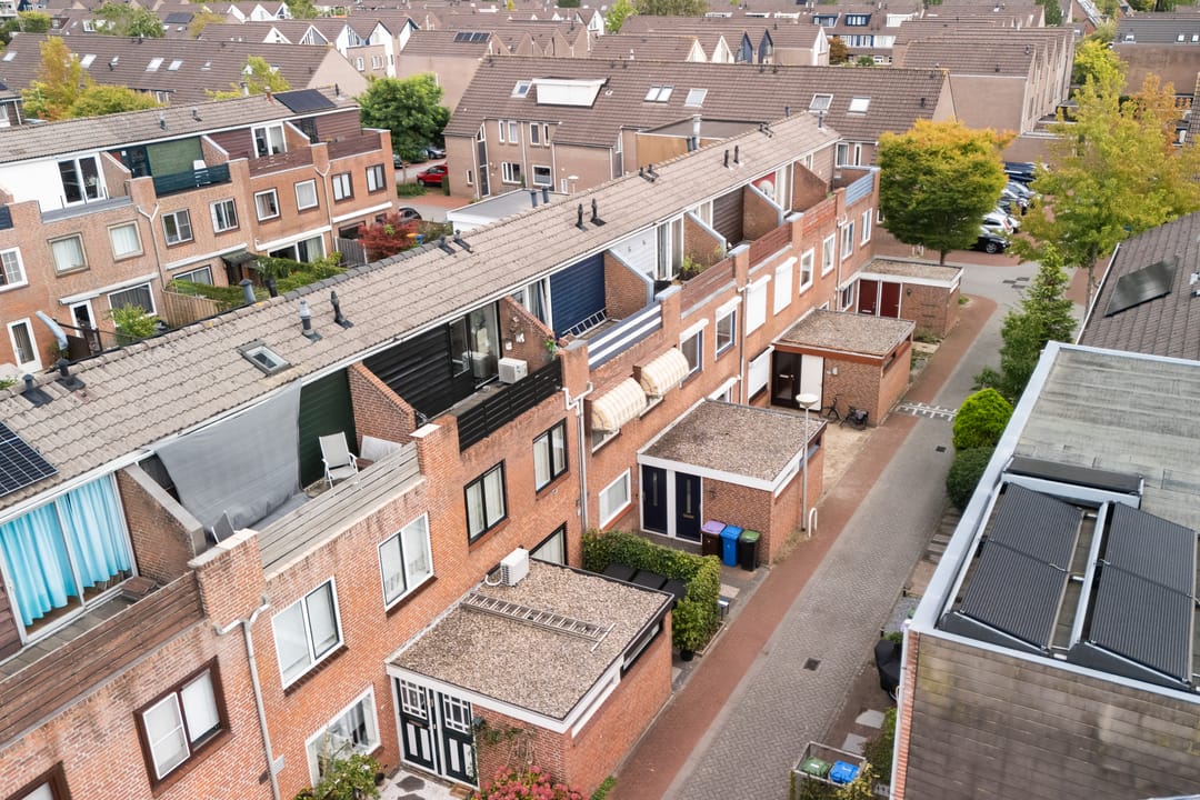 Foto 8 van Koraalzwam 21