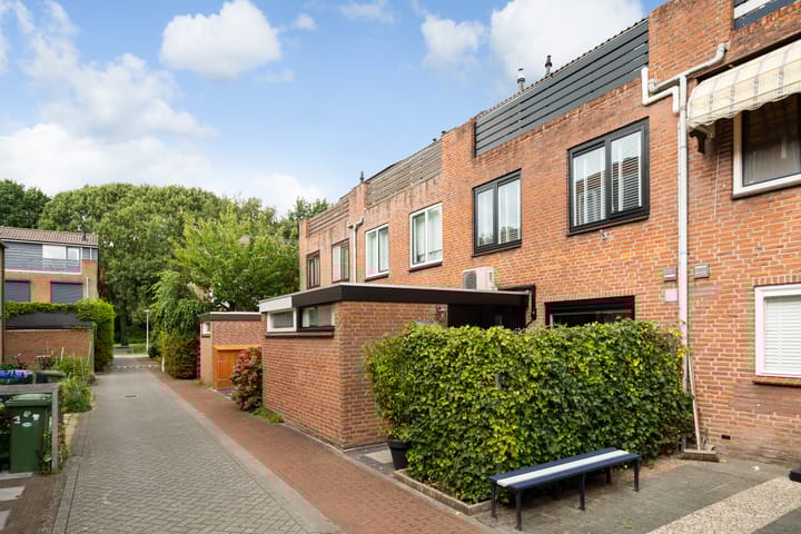 Foto 9 van Koraalzwam 21