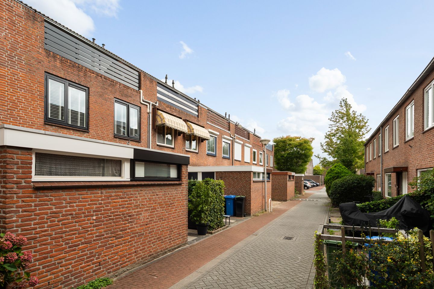 Foto 10 van Koraalzwam 21