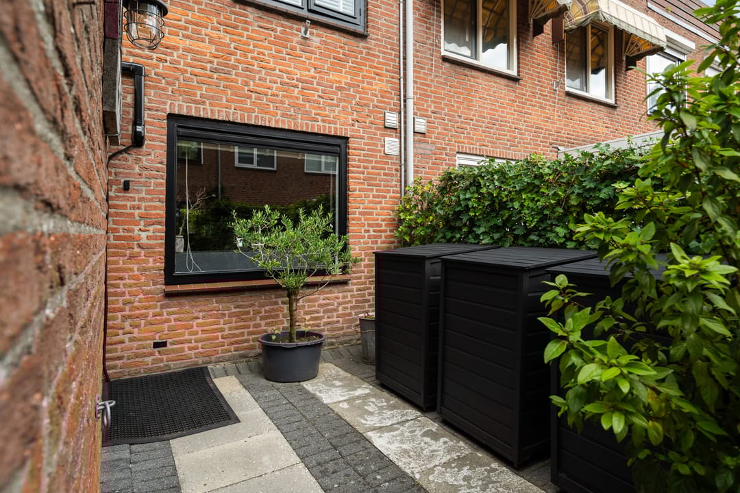 Foto 11 van Koraalzwam 21