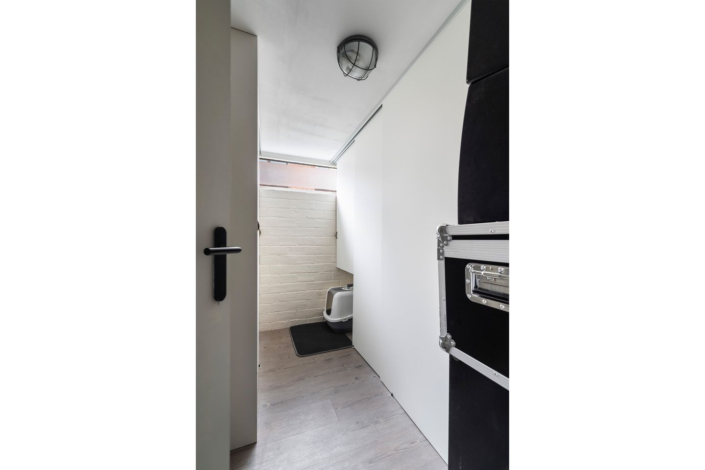 Foto 14 van Koraalzwam 21