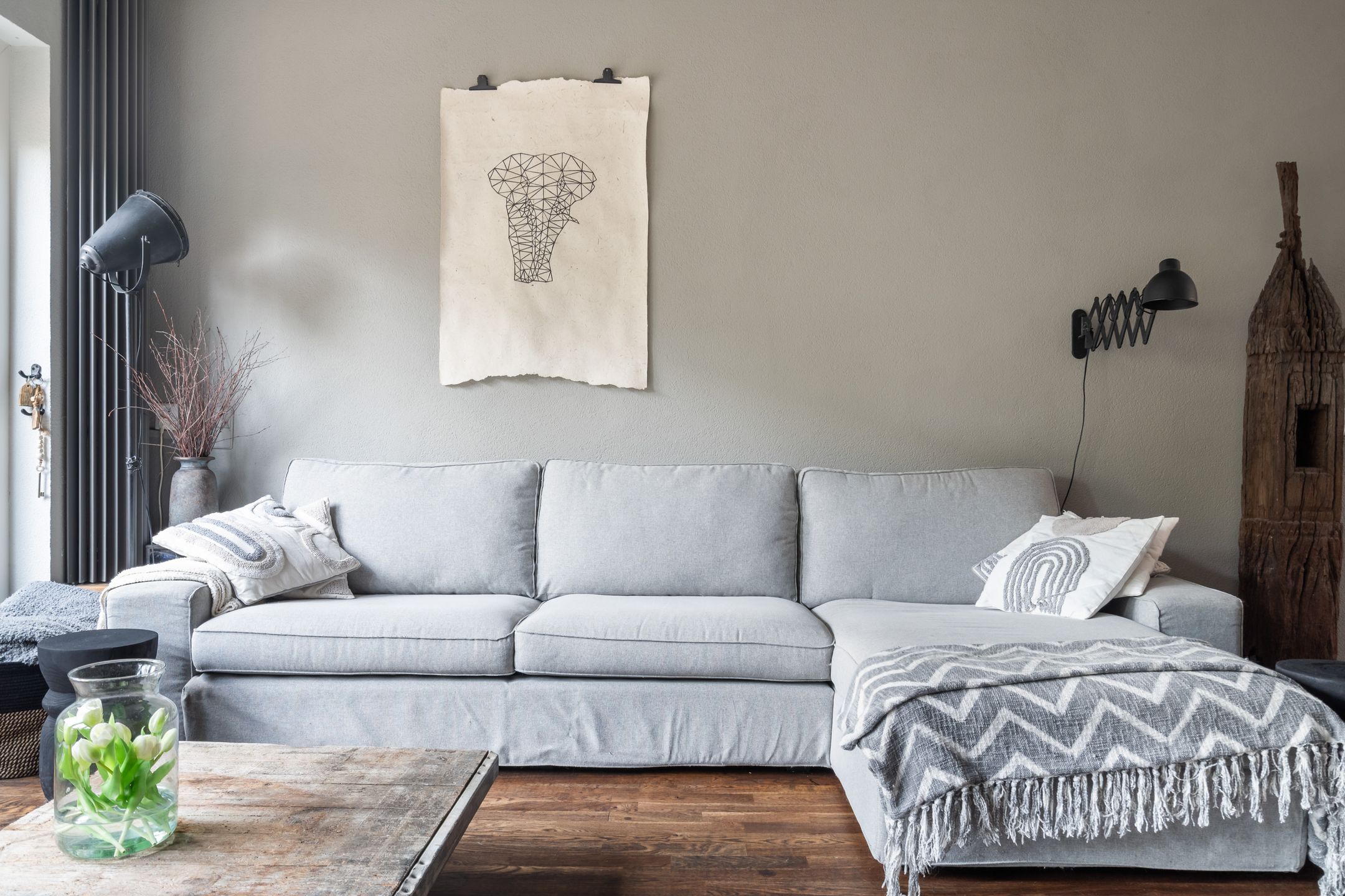 Foto 18 van Koraalzwam 21