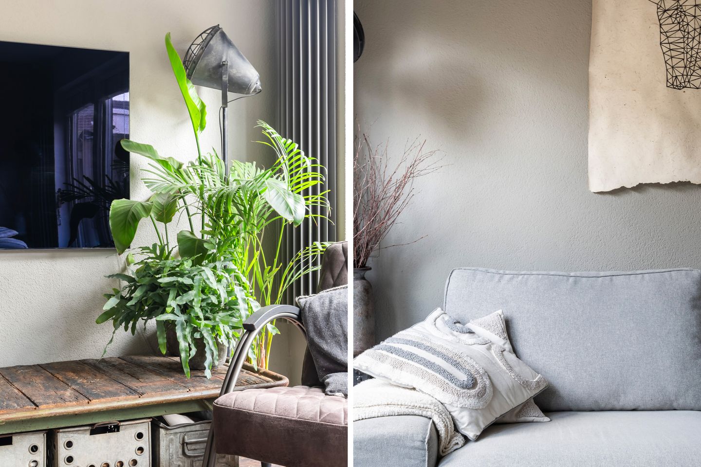 Foto 20 van Koraalzwam 21