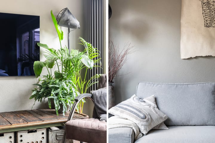 Foto 20 van Koraalzwam 21