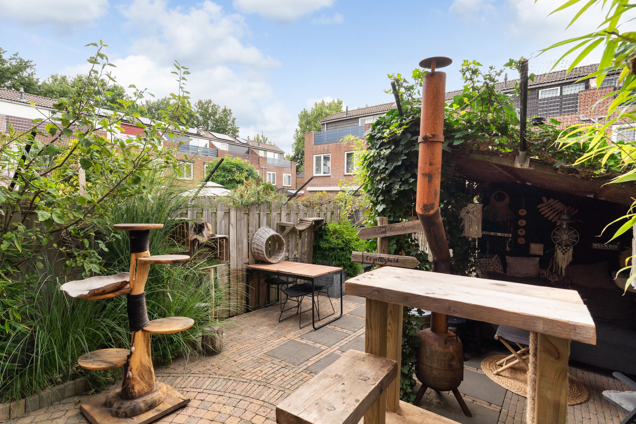 Foto 24 van Koraalzwam 21