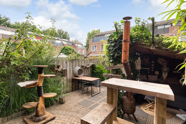 Foto 24 van Koraalzwam 21