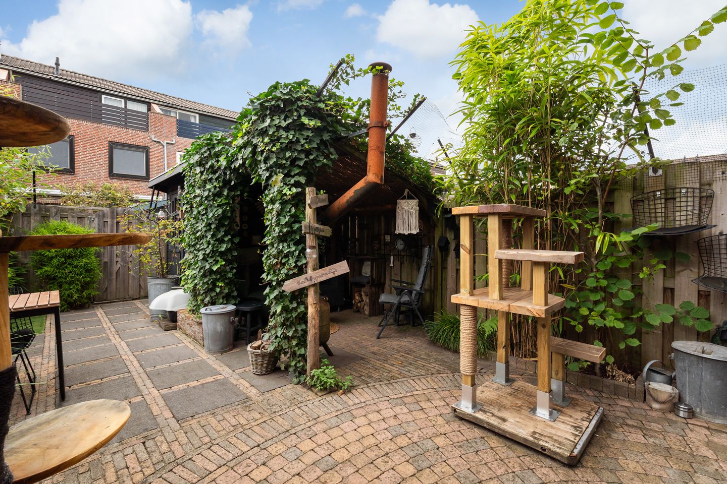 Foto 25 van Koraalzwam 21