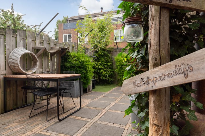 Foto 26 van Koraalzwam 21