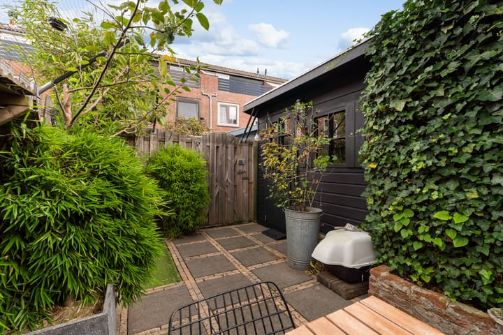 Foto 28 van Koraalzwam 21