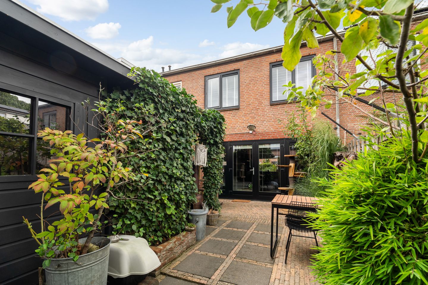 Foto 29 van Koraalzwam 21