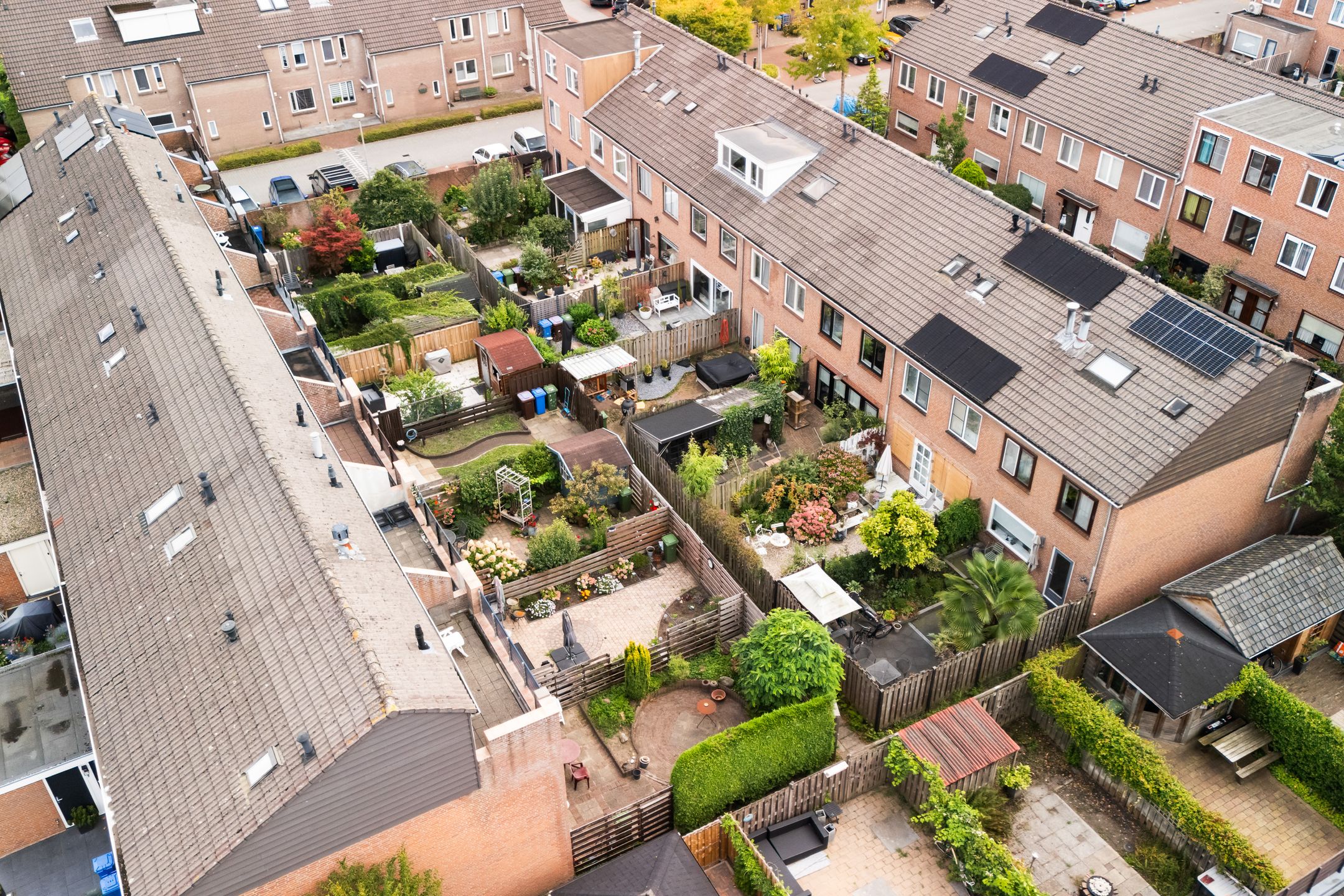 Foto 30 van Koraalzwam 21