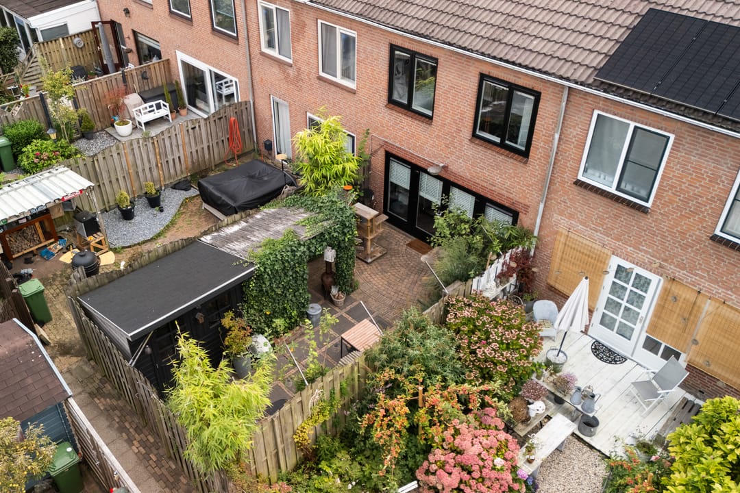 Foto 31 van Koraalzwam 21