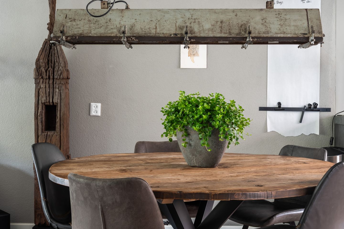 Foto 34 van Koraalzwam 21