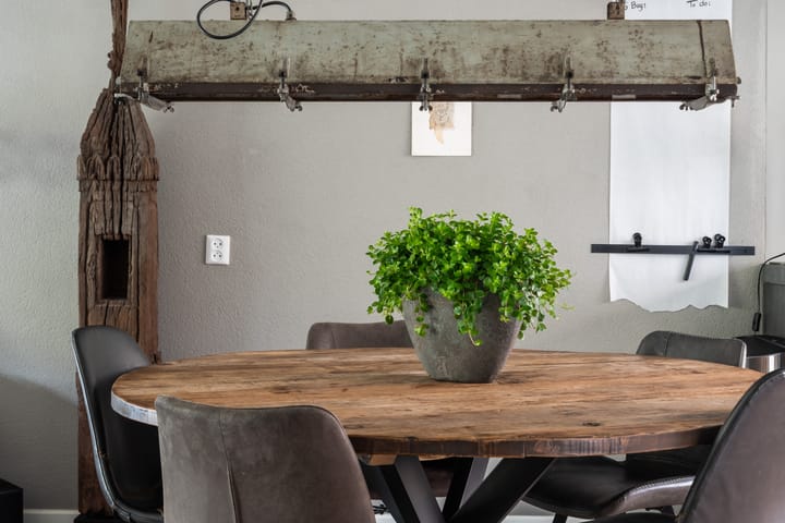 Foto 34 van Koraalzwam 21