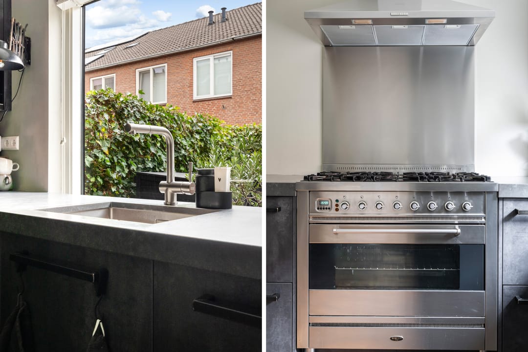 Foto 37 van Koraalzwam 21