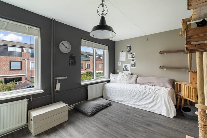 Foto 42 van Koraalzwam 21